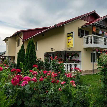 Pensiunea Elena Tasnad Luaran gambar